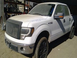 2010 FORD F-150, WHITE, XLT MODEL, CREW CAB, 5.4L, AT, 2WD.  F26518